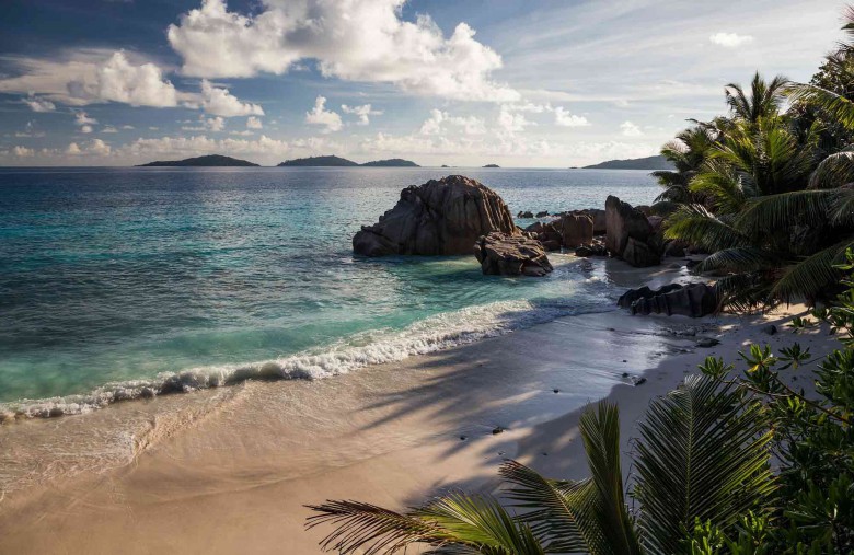 Voyage sur une île déserte, le manuel du Robinson