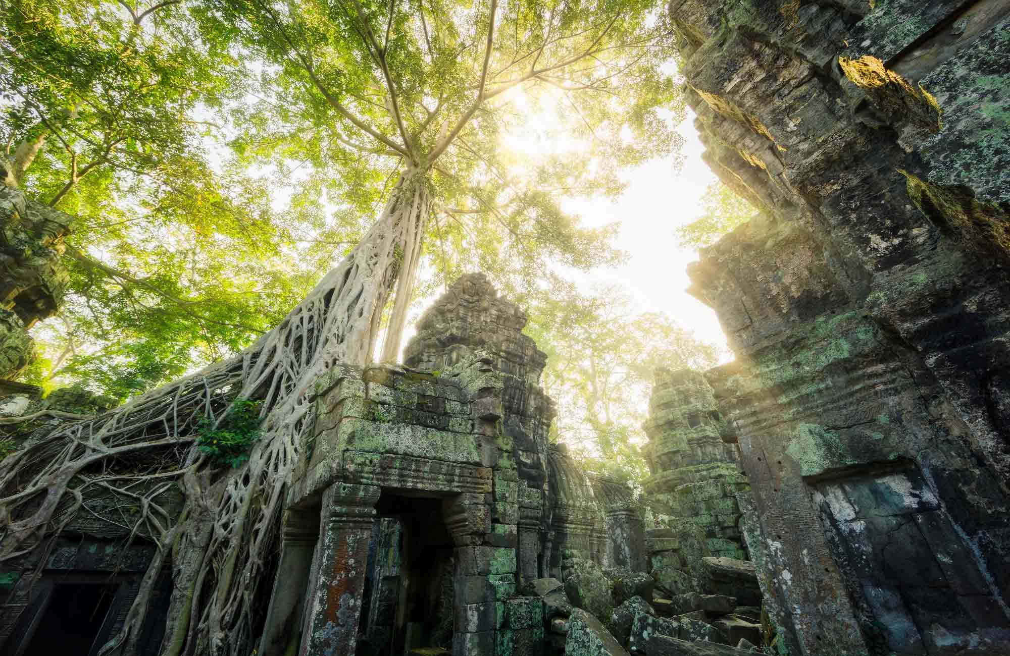 Voyage Cambodge - Angkor - Amplitudes