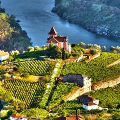 La Vallée du Douro à l&rsquo;heure des vendanges
