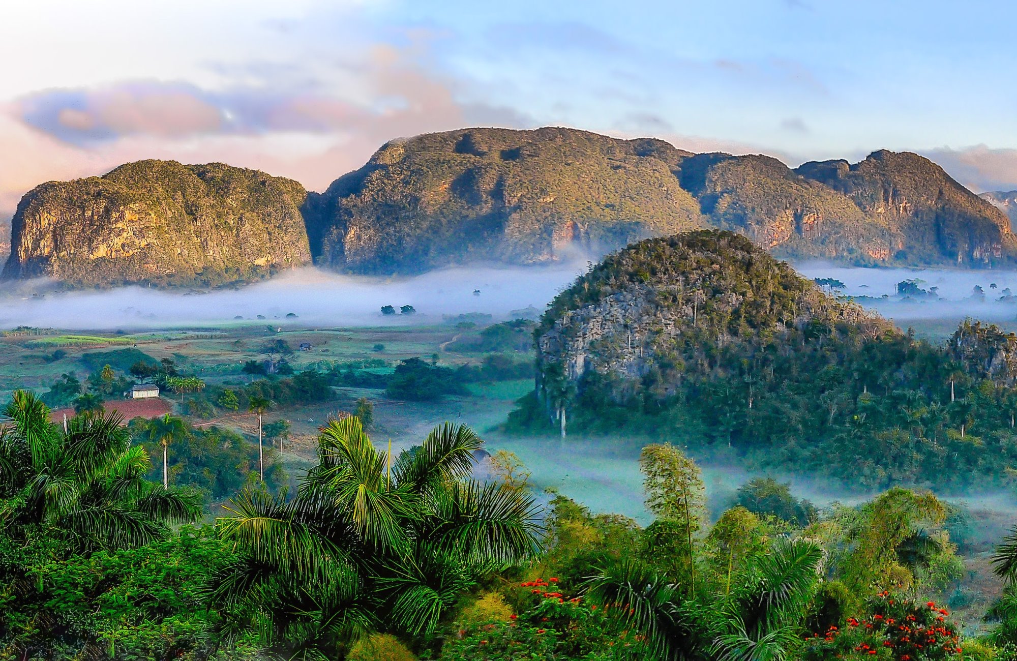 Paysage de cuba avec des touristes