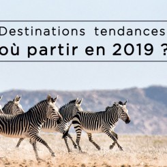 Destinations tendances, où partir en 2019 ?