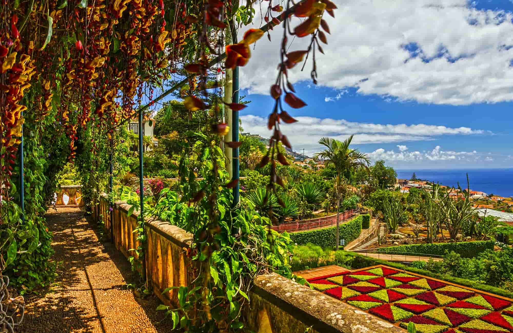 Voyage Madère printemps - Funchal - Amplitudes