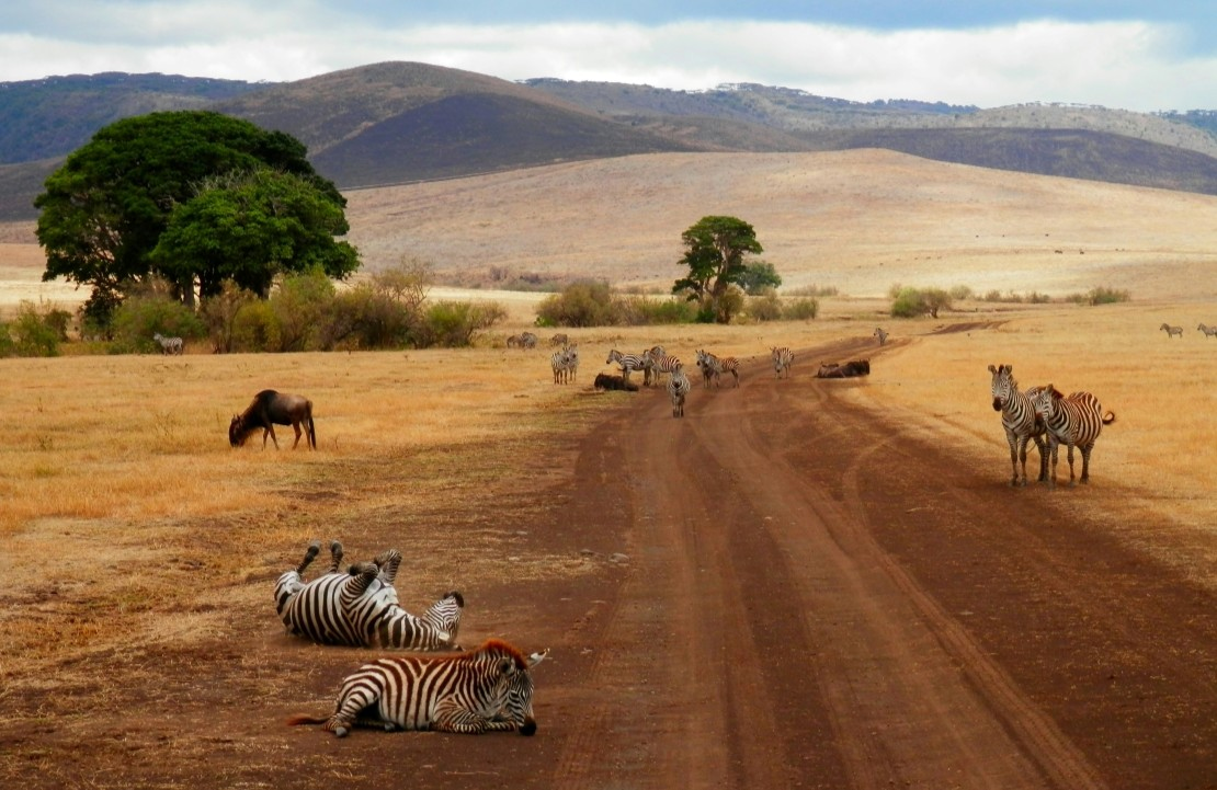 Voyage sur mesure en Tanzanie - Le paysage printanier inattendu - Amplitudes