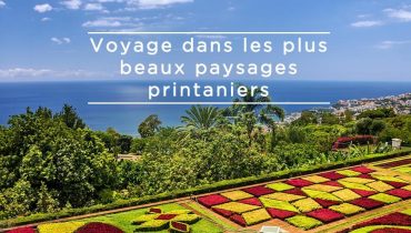 Voyage Madère Printemps - Funchal - Amplitudes