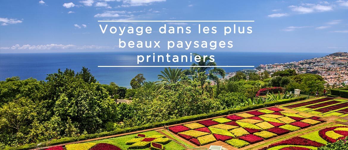 Voyage Madère Printemps - Funchal - Amplitudes