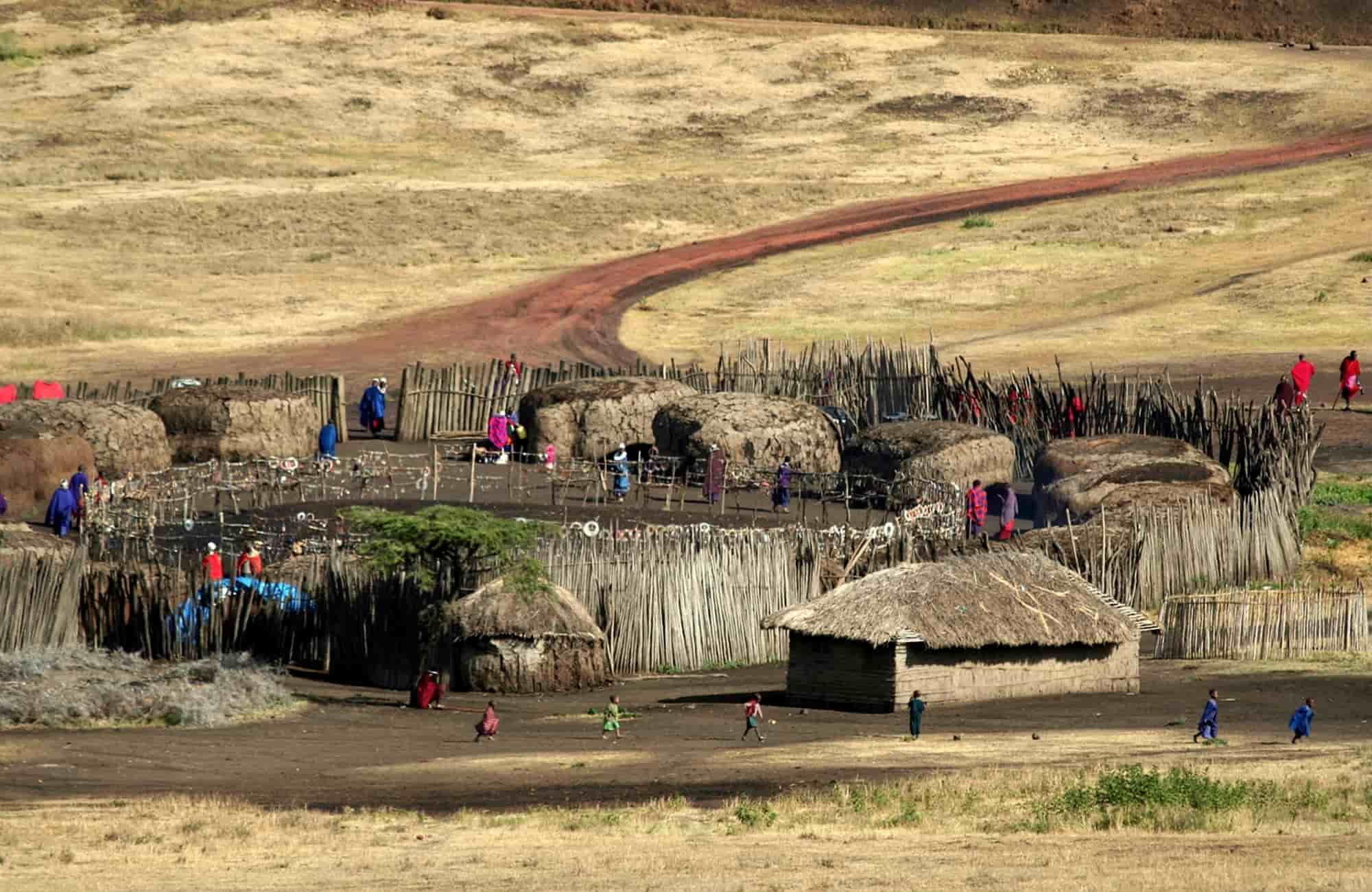 Voyage en Tanzanie - Parc National du Serengeti- Amplitudes