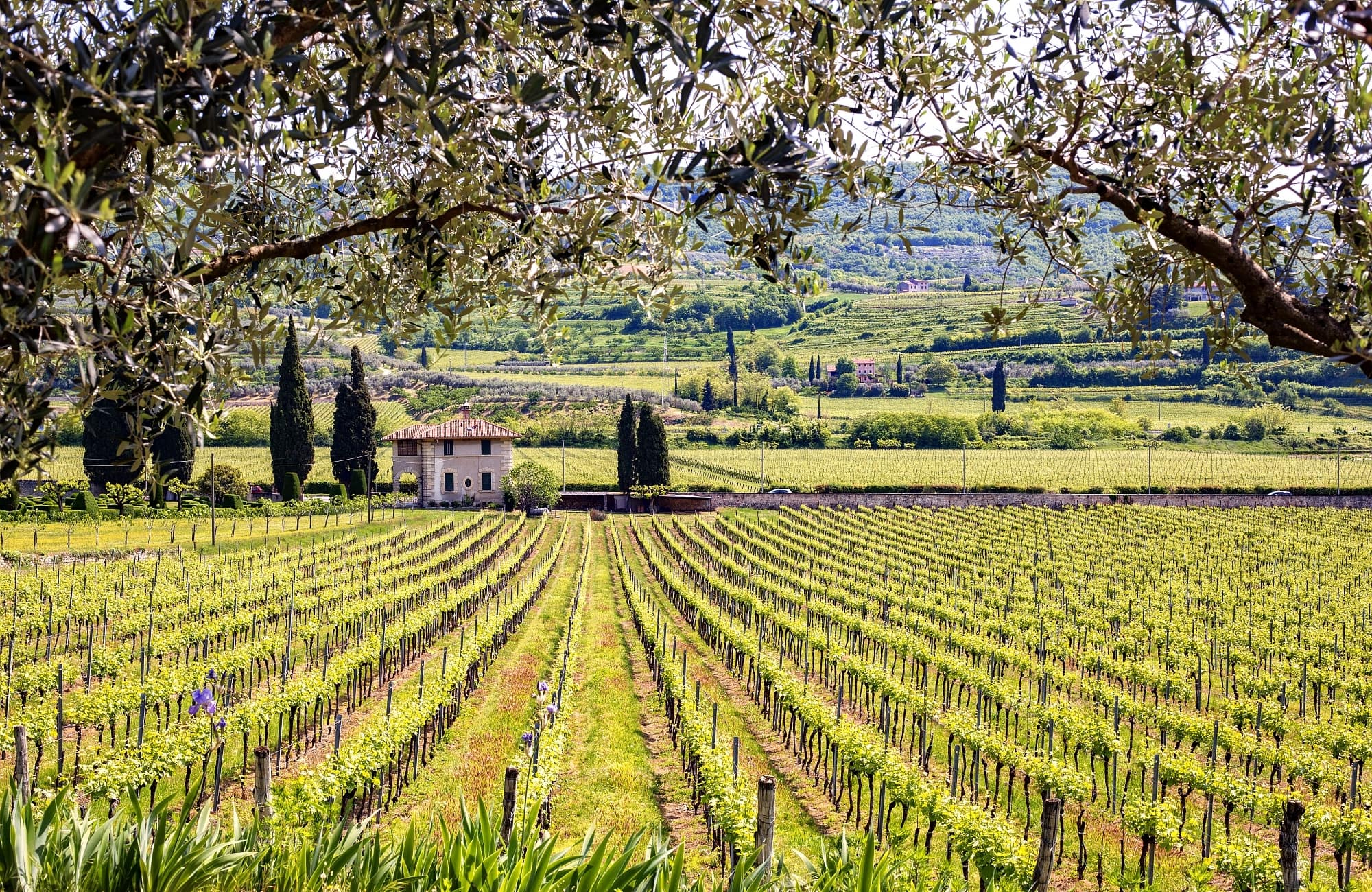 oenotourisme dans les terres toscannes ! 