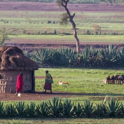 Petit guide culturel : us et coutumes en Tanzanie