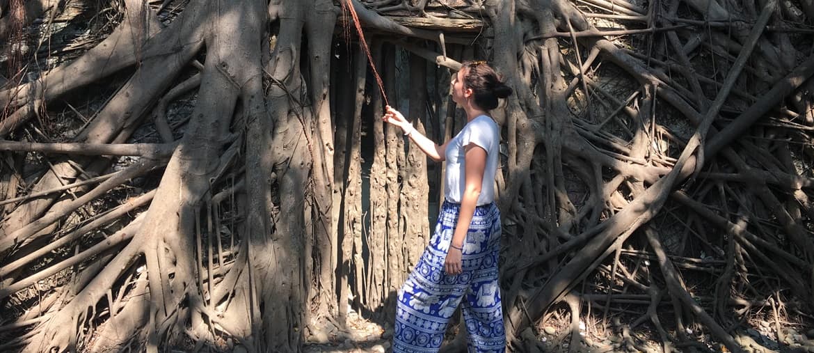 Voyage à Taïwan - Anping tree house - Amplitudes