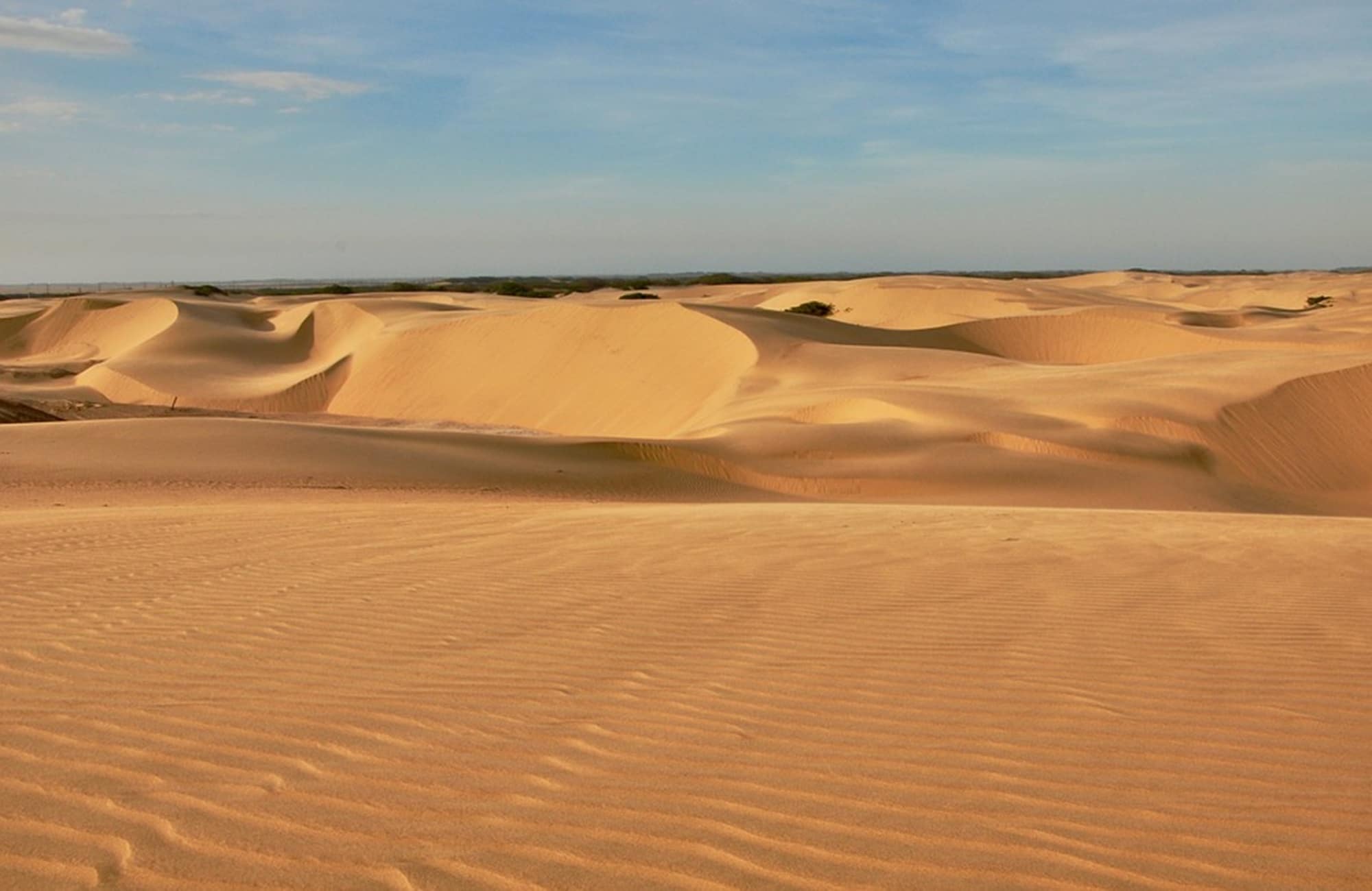 Voyage en Argentine - Medanos - Amplitudes