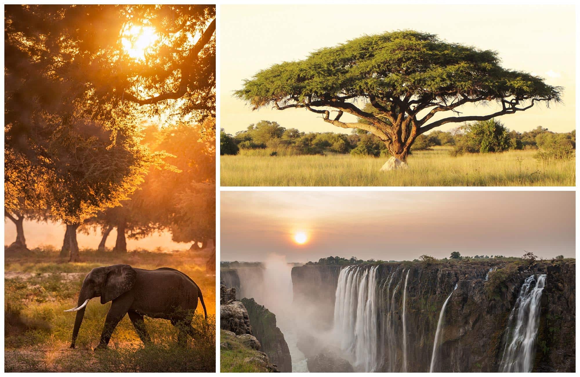 Fin de journée au Zimbabwe