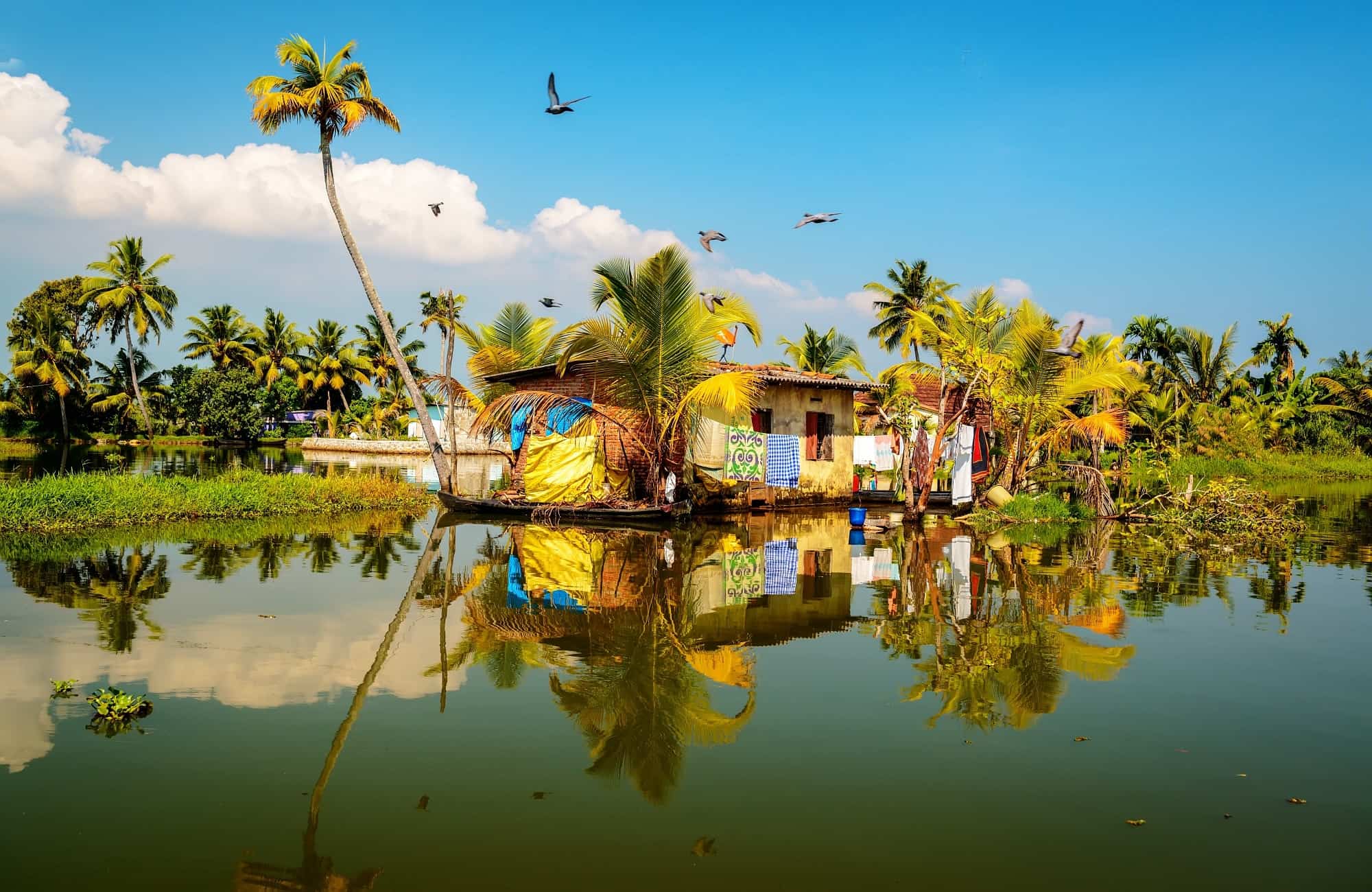 Voyage au Kerala - Backwaters - Amplitudes
