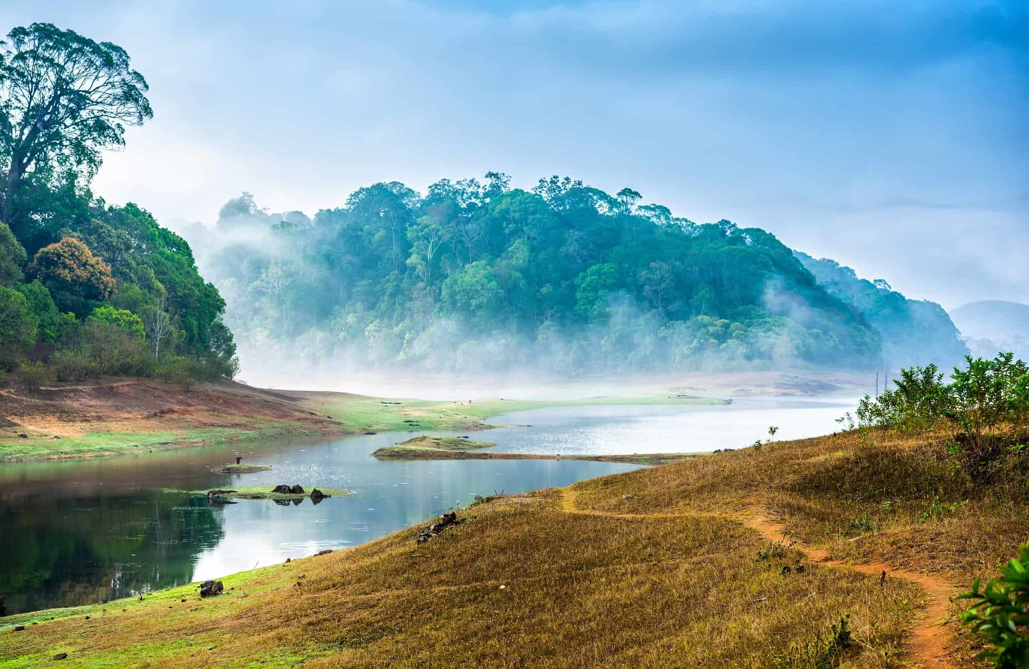 Voyage au Kerala - Parc National de Periyar - Amplitudes