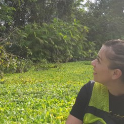 Magali en Équateur : canopée et Quito (J4 à J6)