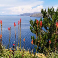 Croisière sur le lac Titicaca en catamaran