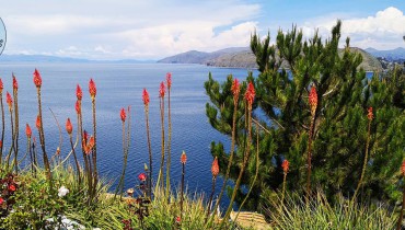 Voyage en Bolivie - Lac Titicaca - Amplitudes