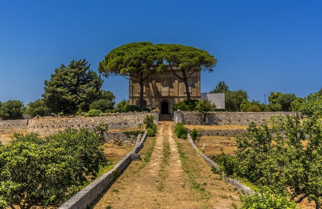Agritourisme en Italie - Les champs d'olivier - Amplitudes