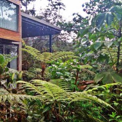 Amplitudes a testé le Mashpi Lodge