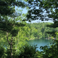 Balade dans les parcs de l&rsquo;Outaouais, au Québec