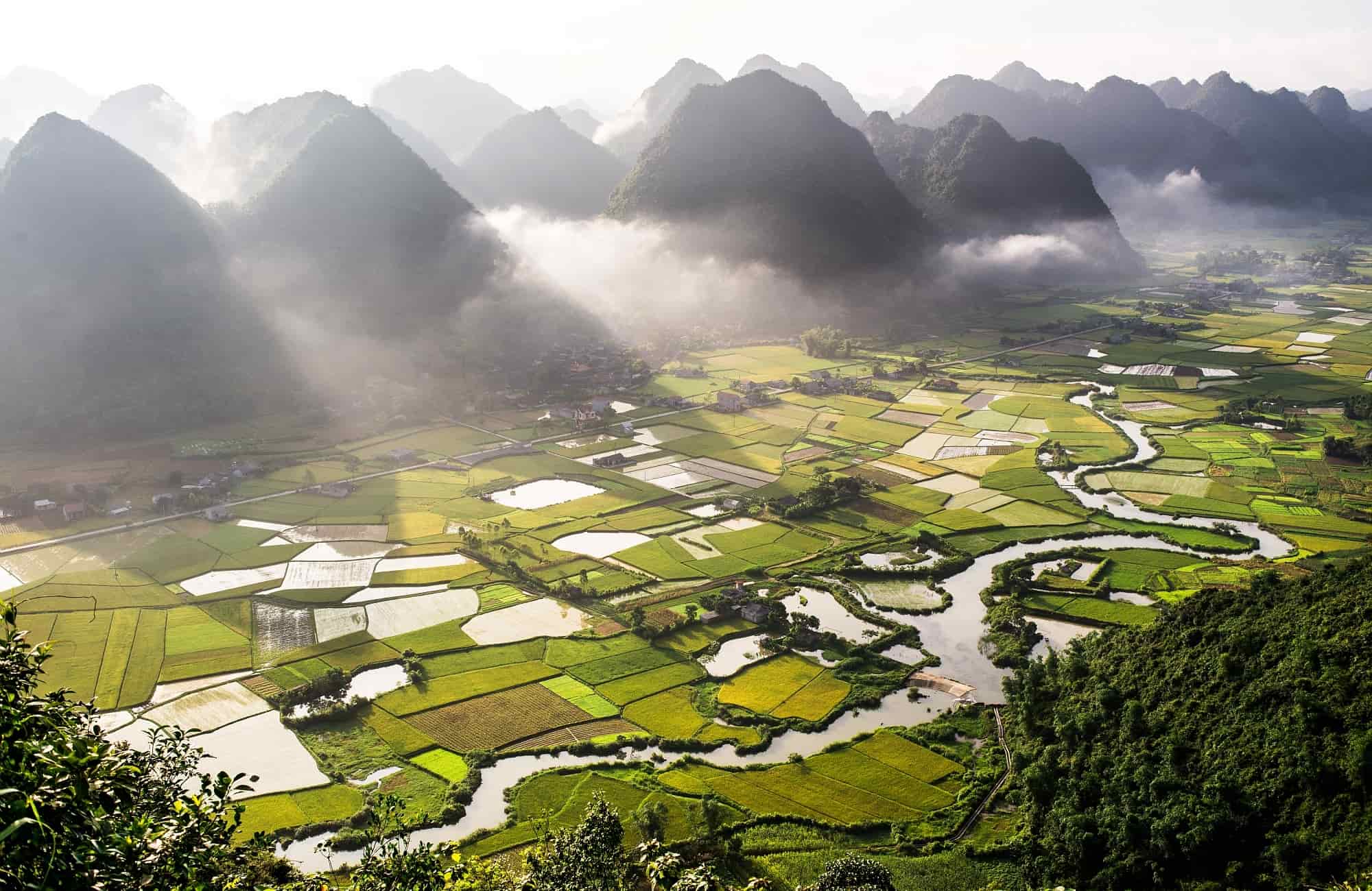 Voyage Vietnam - Ninh Binh rizières - Amplitudes