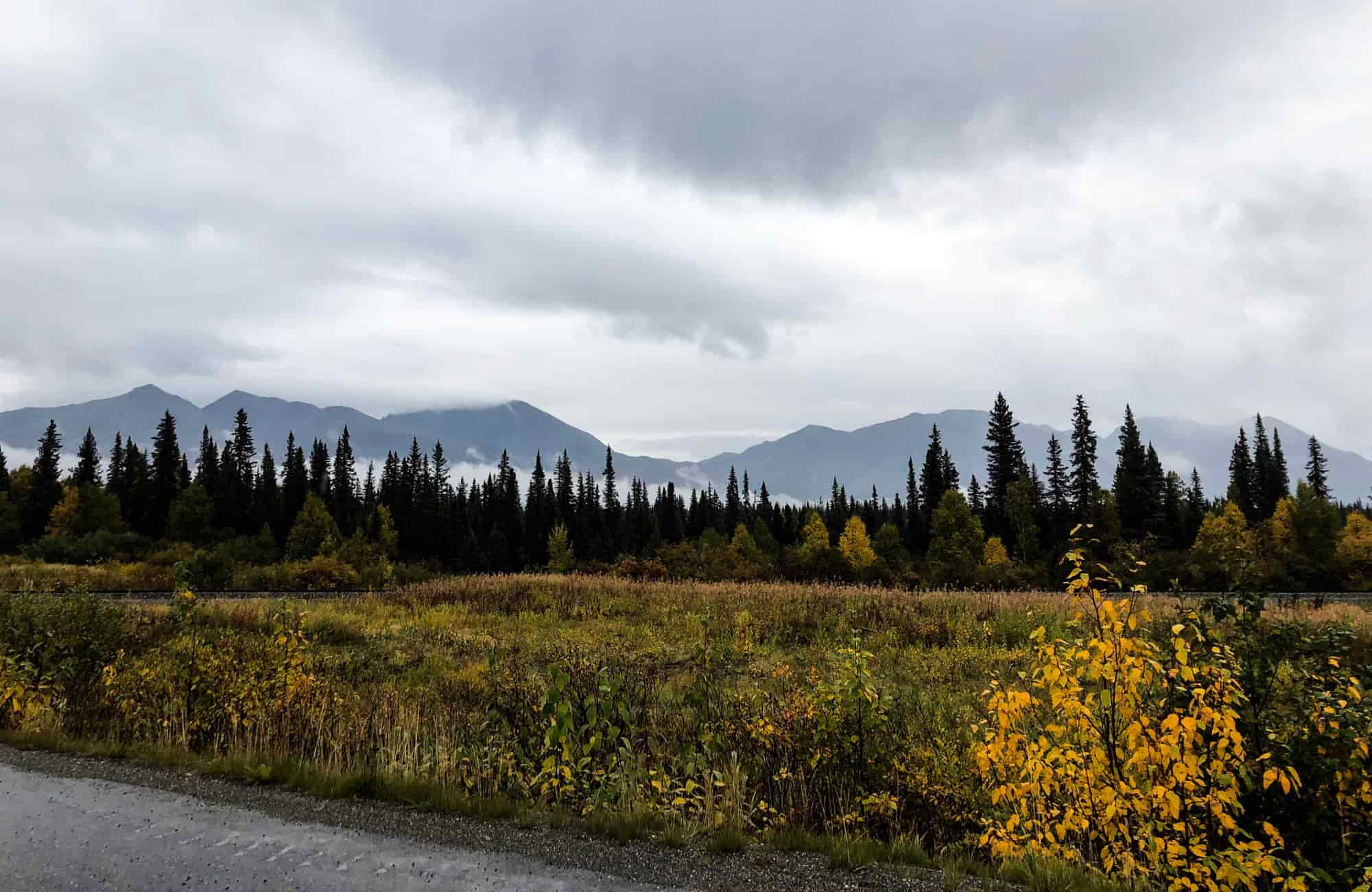 Voyage Alaska - Parc National de Denali - Amplitudes