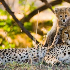 5 destinations vacances pour les parents solo