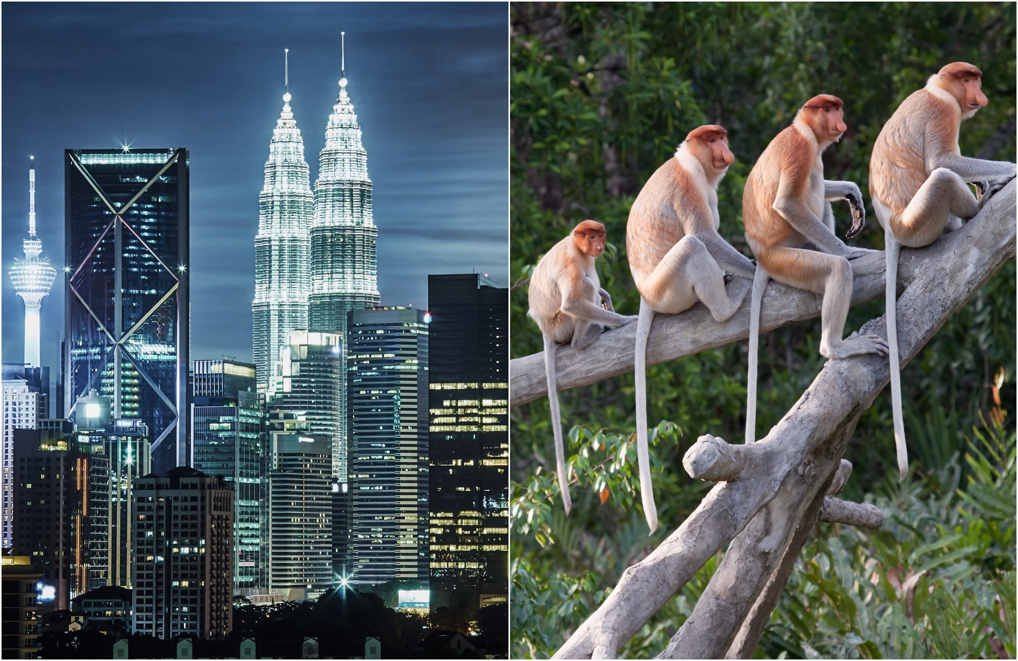 Voyage Malaisie - Bornéo - Tours de Kuala Lumpur et singes de Kota Kinabalu - Amplitudes