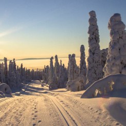 Finlande, Norvège, Suède, Russie : Quelle Laponie ?