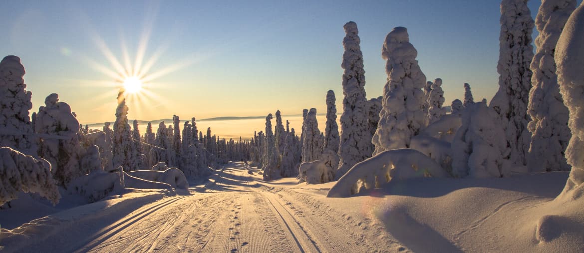 Voyage Laponie - Route de Laponie finlandaise - Amplitudes