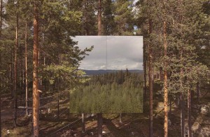 Voyage Laponie - TreeHotel - Amplitudes