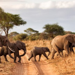 Les plus belles destinations en famille de 2020