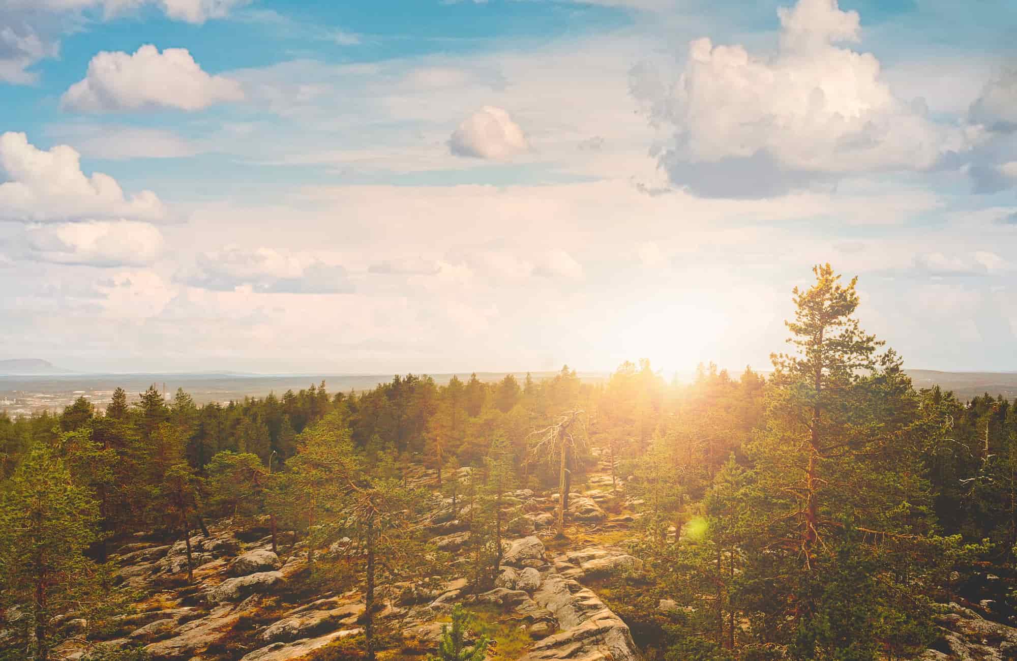 Voyage Finlande - Forêt boréale - Amplitudes