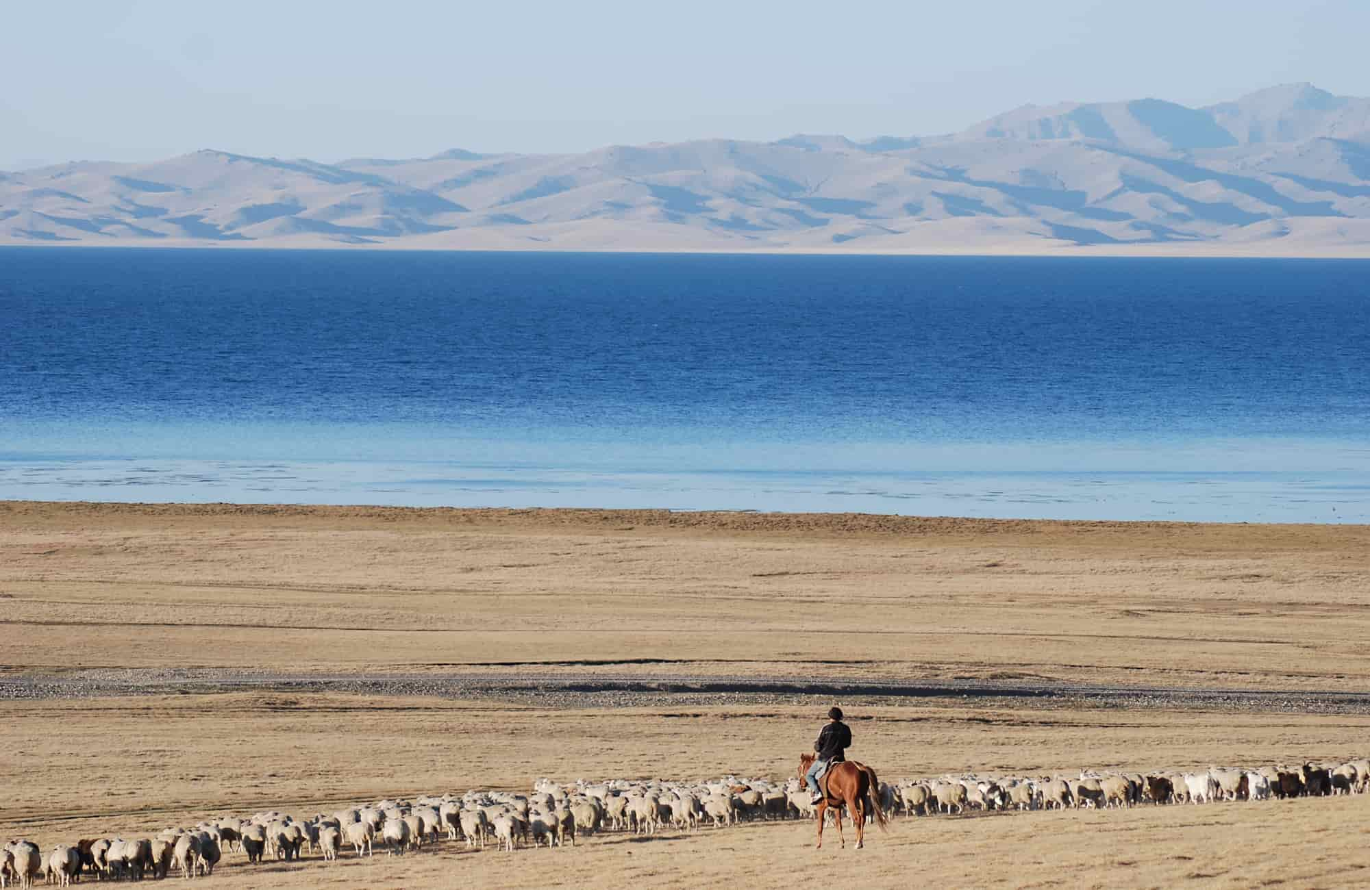 Voyage Kirghizistan - Nomade lac Issyk Kul - Amplitudes