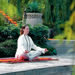 Guide pratique d&rsquo;une cure ayurvédique en Inde
