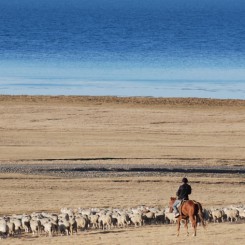 Rétro 2019 : les plus belles images du monde