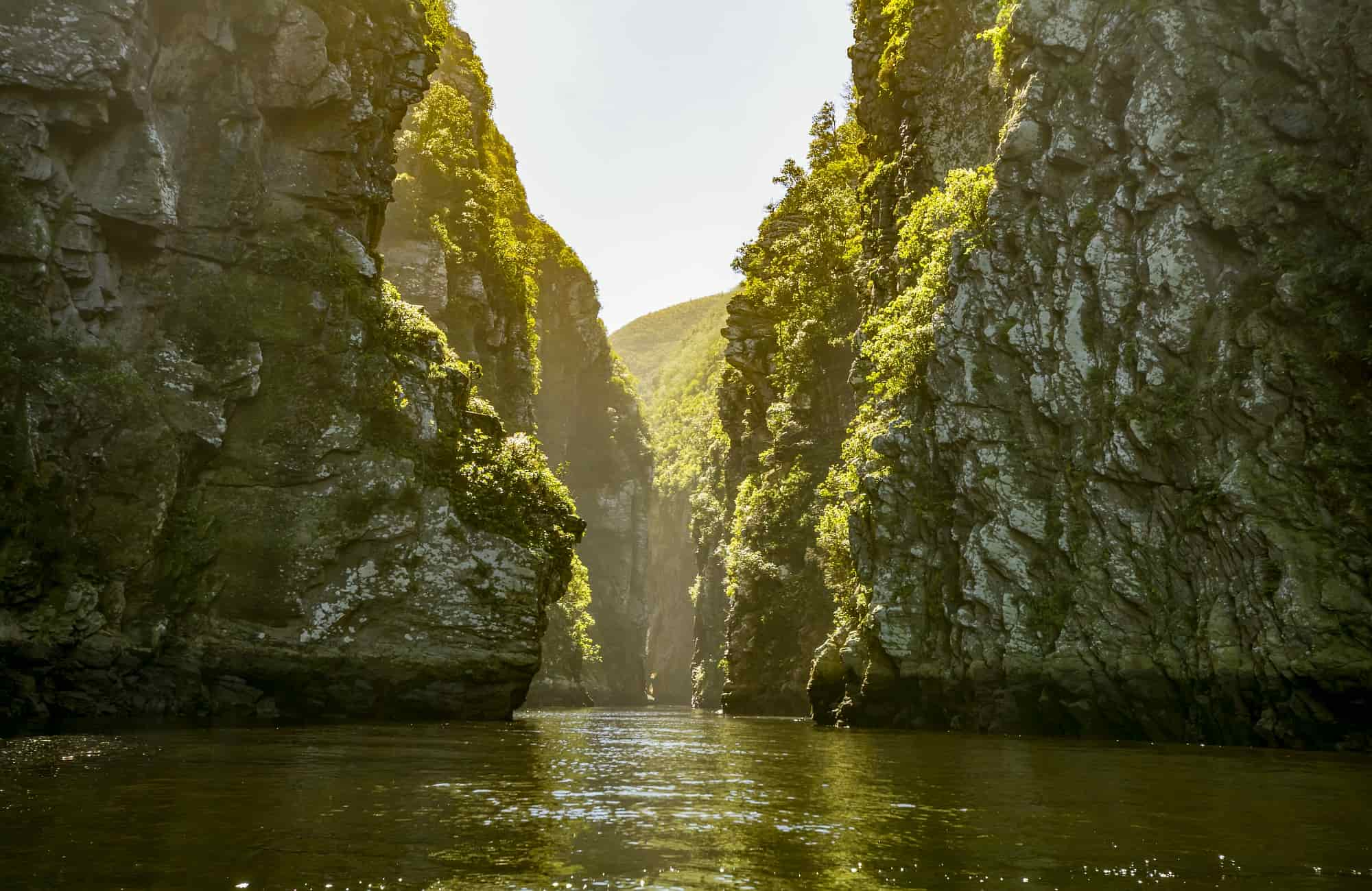 Voyage Afrique du Sud - Le canyon de la rivière Tsitsikamma - Amplitudes