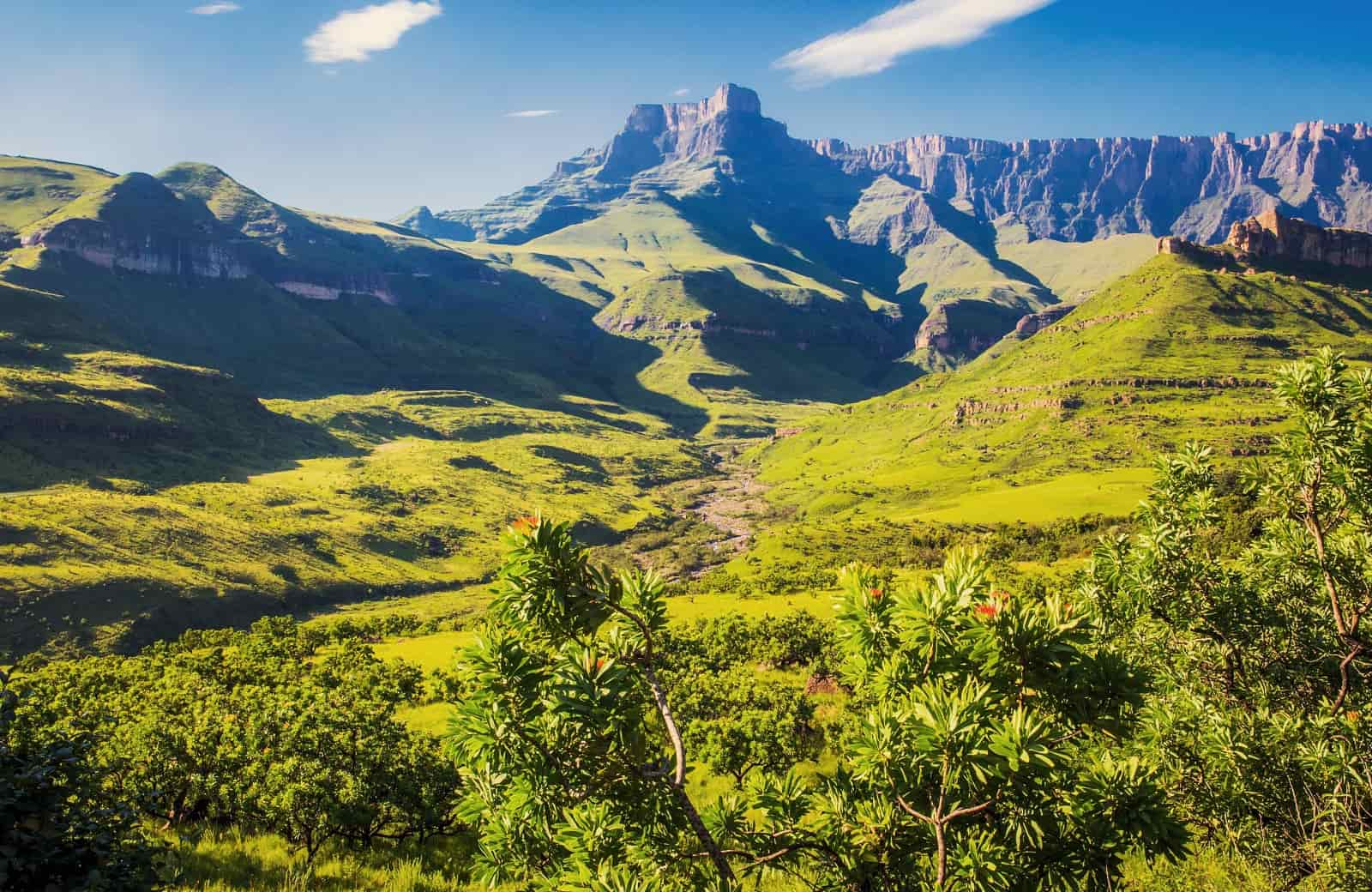 Voyage Afrique du Sud - Le Drakensberg - Amplitudes