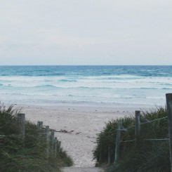 Jervis Bay, petit paradis à moins de 3h de Sydney
