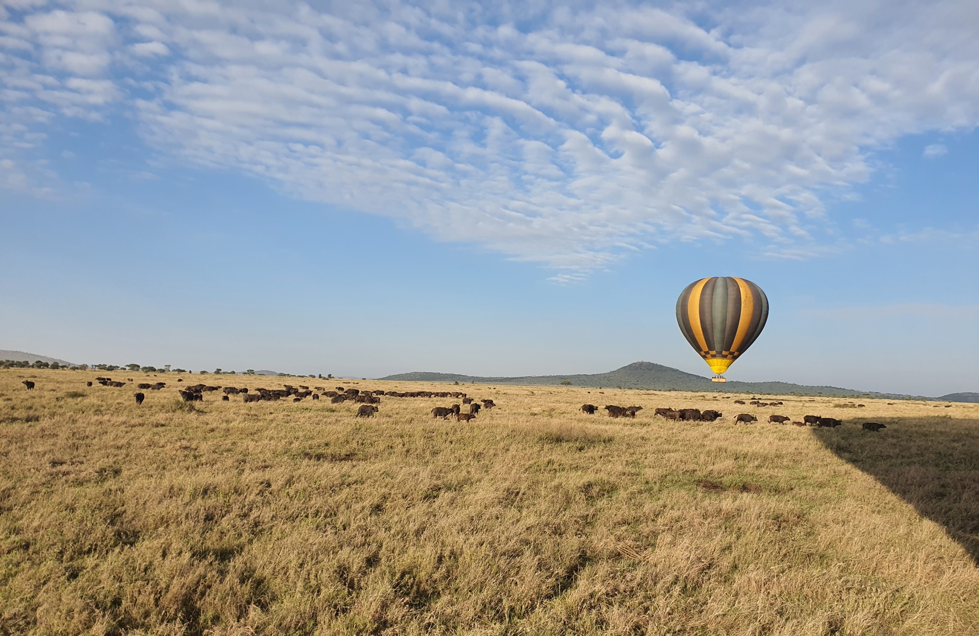 Safari Serengeti - Survol Montgolfière - Amplitudes