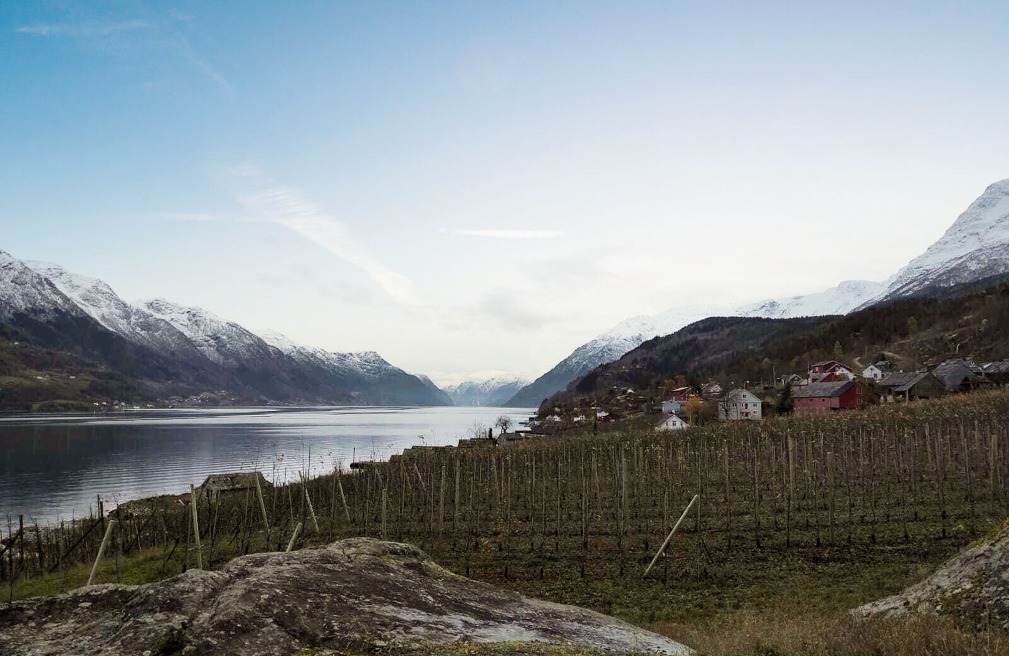 Voyage Hardangerfjord - Village d'Agatunet - Amplitudes