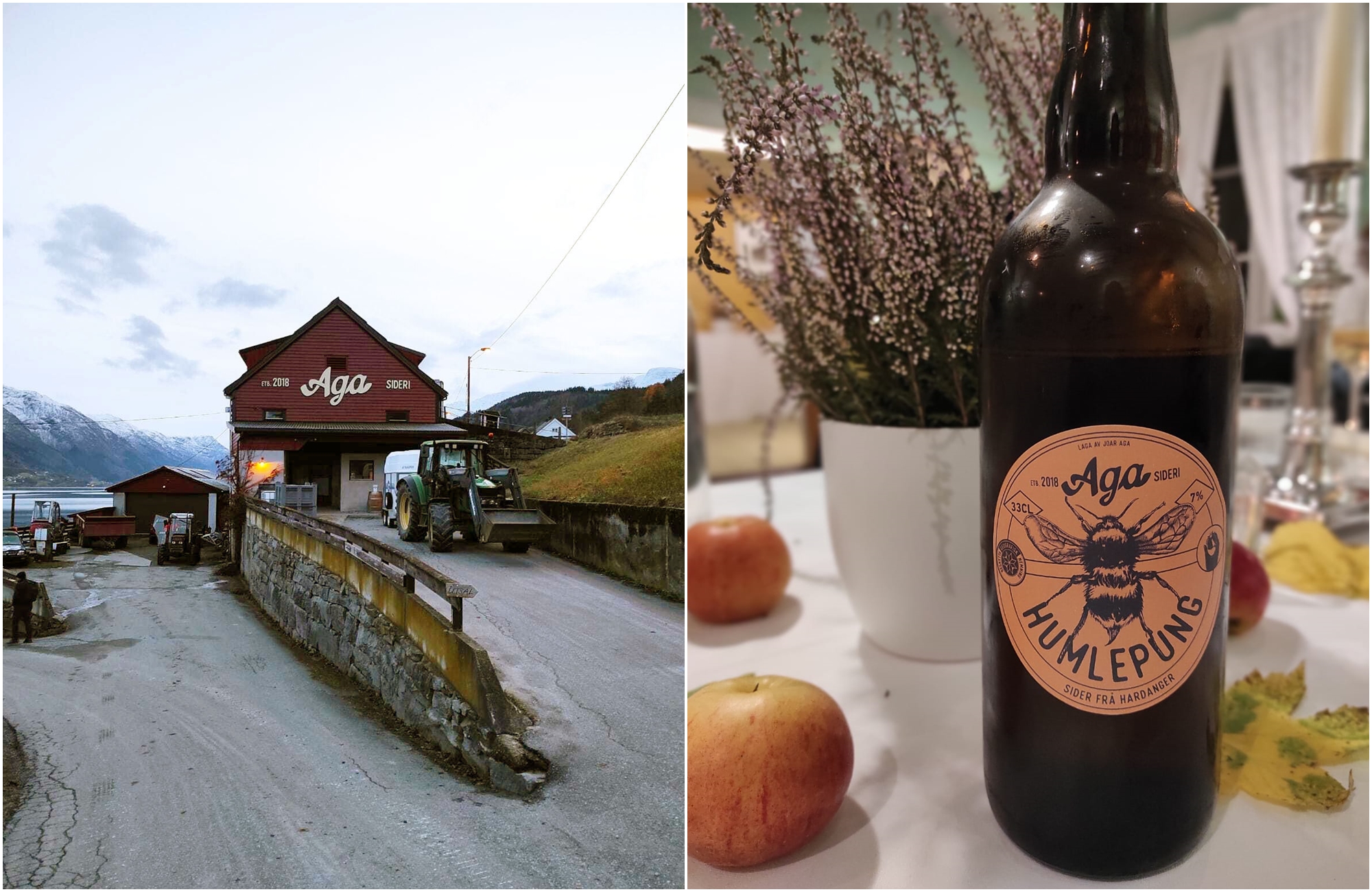 Gastronomie Norvège - Cidre du Hardangerfjord - Amplitudes