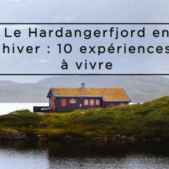 Le Hardangerfjord en hiver : 10 expériences à vivre