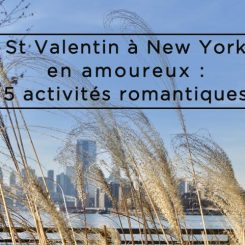 St Valentin à New York en amoureux : 5 activités romantiques 