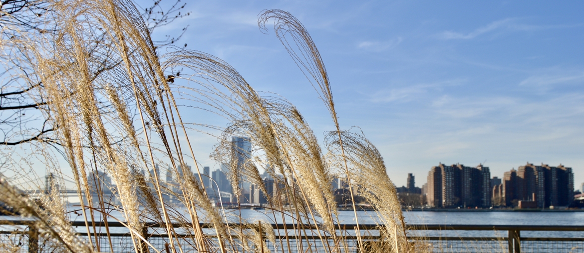 St Valentin New York - Manhattan - Amplitudes