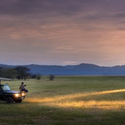Safari en famille : les 5 meilleurs à faire avec vos enfants