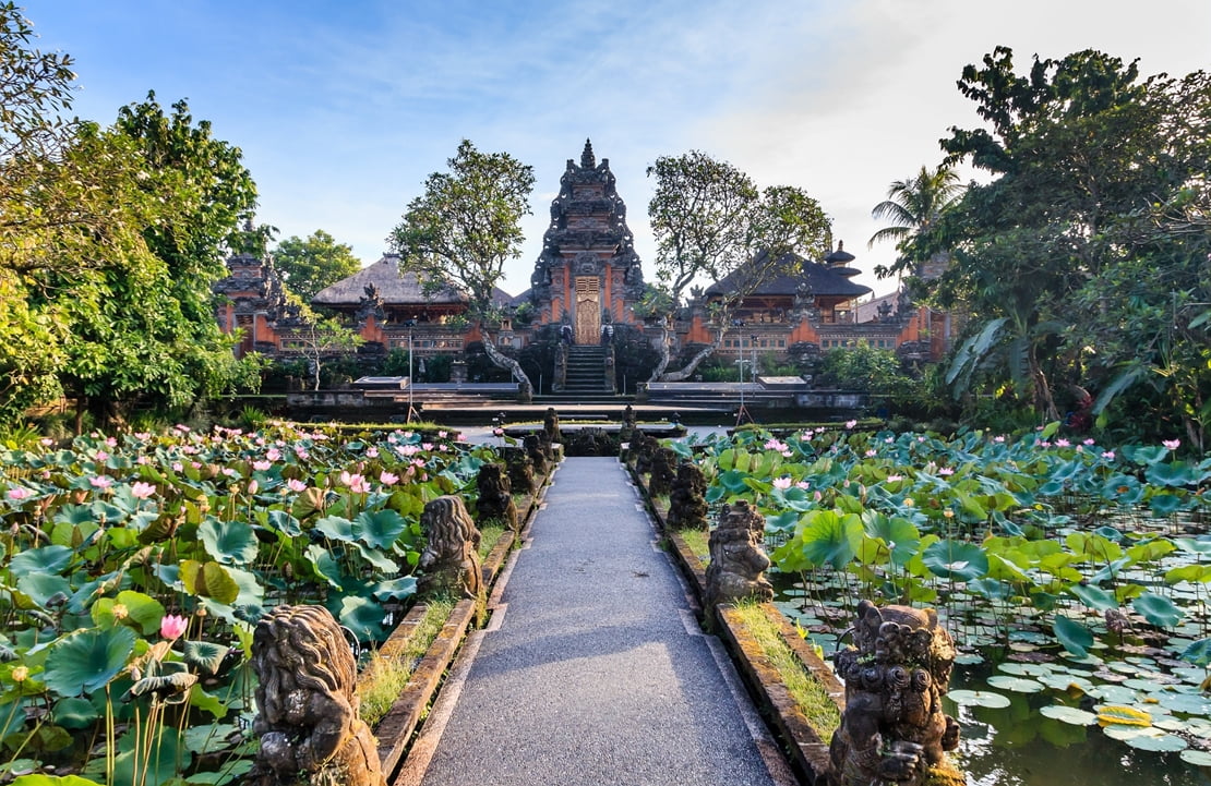 Voyage Ubud - Temple du Lotus - Amplitudes