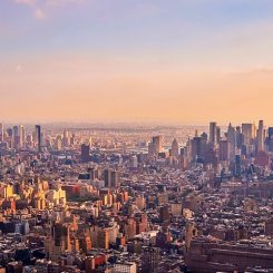 Incontournables à New York en 2022 : notre top 5