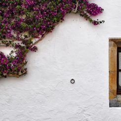 Alentejo entre terre et mer : le tourisme rural au Portugal