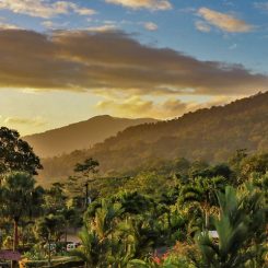 Quel parc national faire au Costa Rica ? Nos coups de cœur