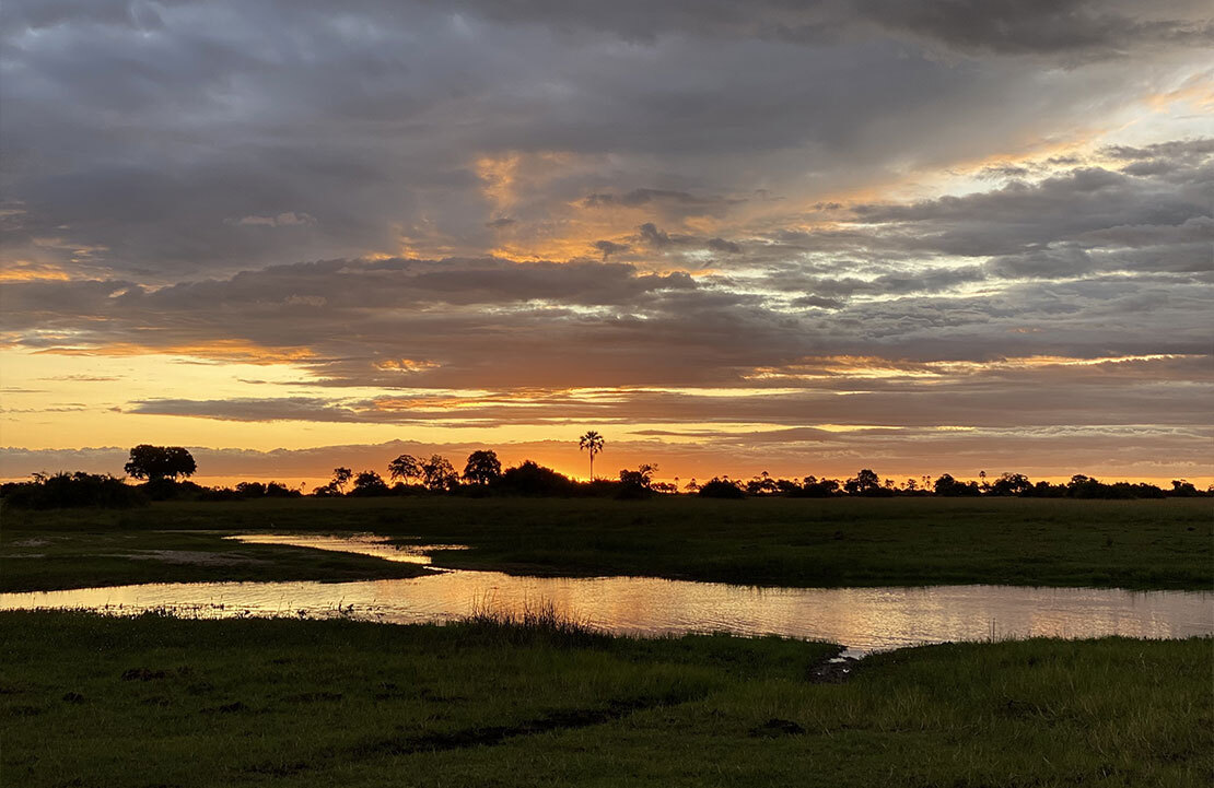 Séjour Delta de l'Okavango - Coucher de Soleil - Amplitudes